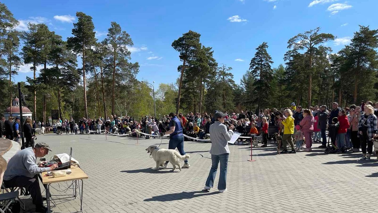 Трюки и танцы: большой парад собак пройдет в Челябинске Трюки и танцы: большой парад собак пройдет в Челябинске