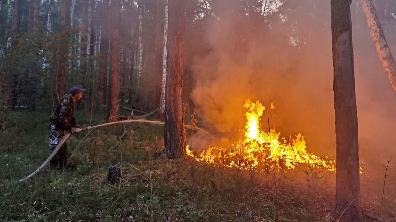 Вблизи поселков в Челябинской области возникли 3 лесных пожара