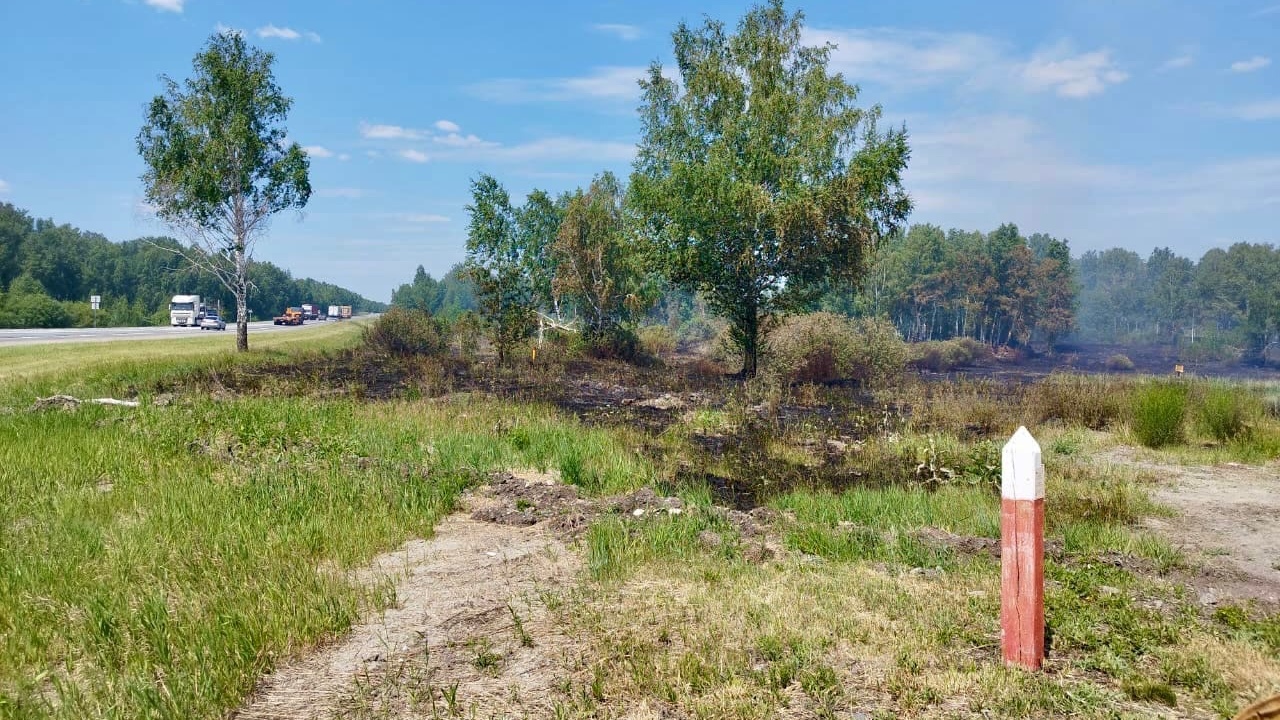 15 пожаров за одну ночь случилось в лесах Челябинской области из-за поджогов