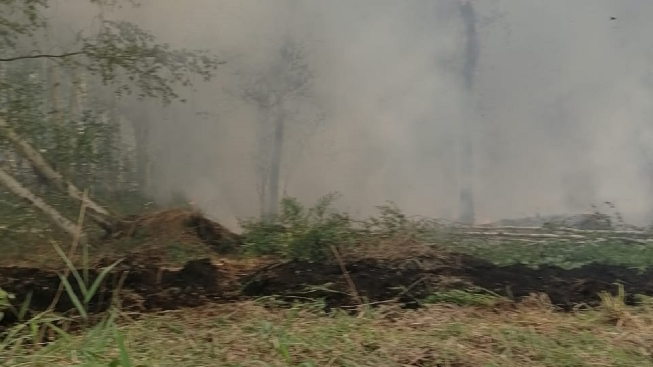 В Челябинской области вторые сутки тушат лесной пожар площадью в 140 гектаров