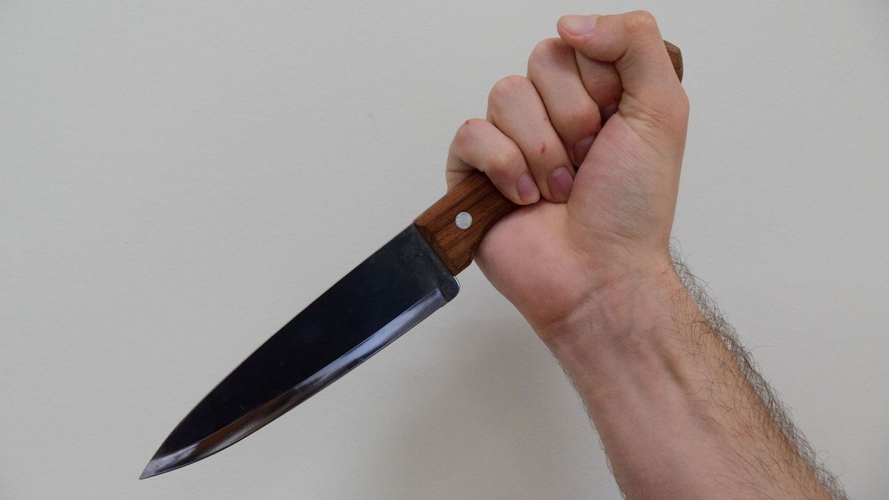 В Челябинске пьяный мужчина напал с ножом на соседа по саду