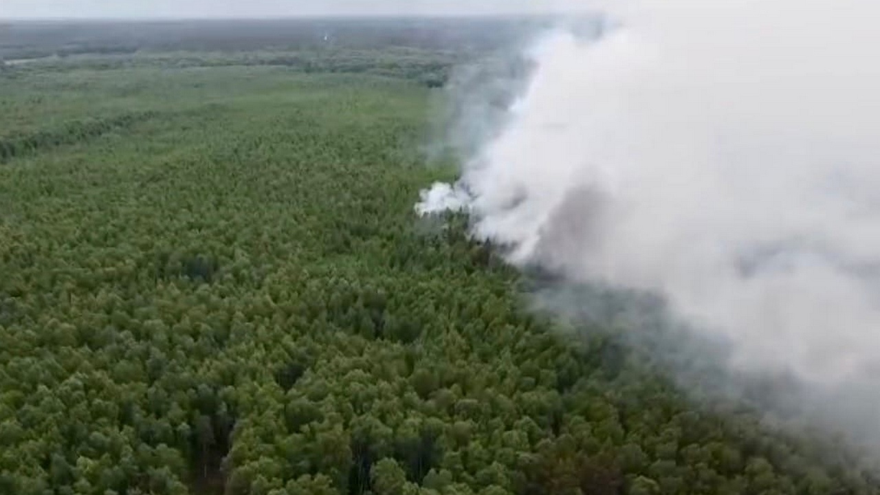 Крупный торфяной пожар тушат в Челябинской области