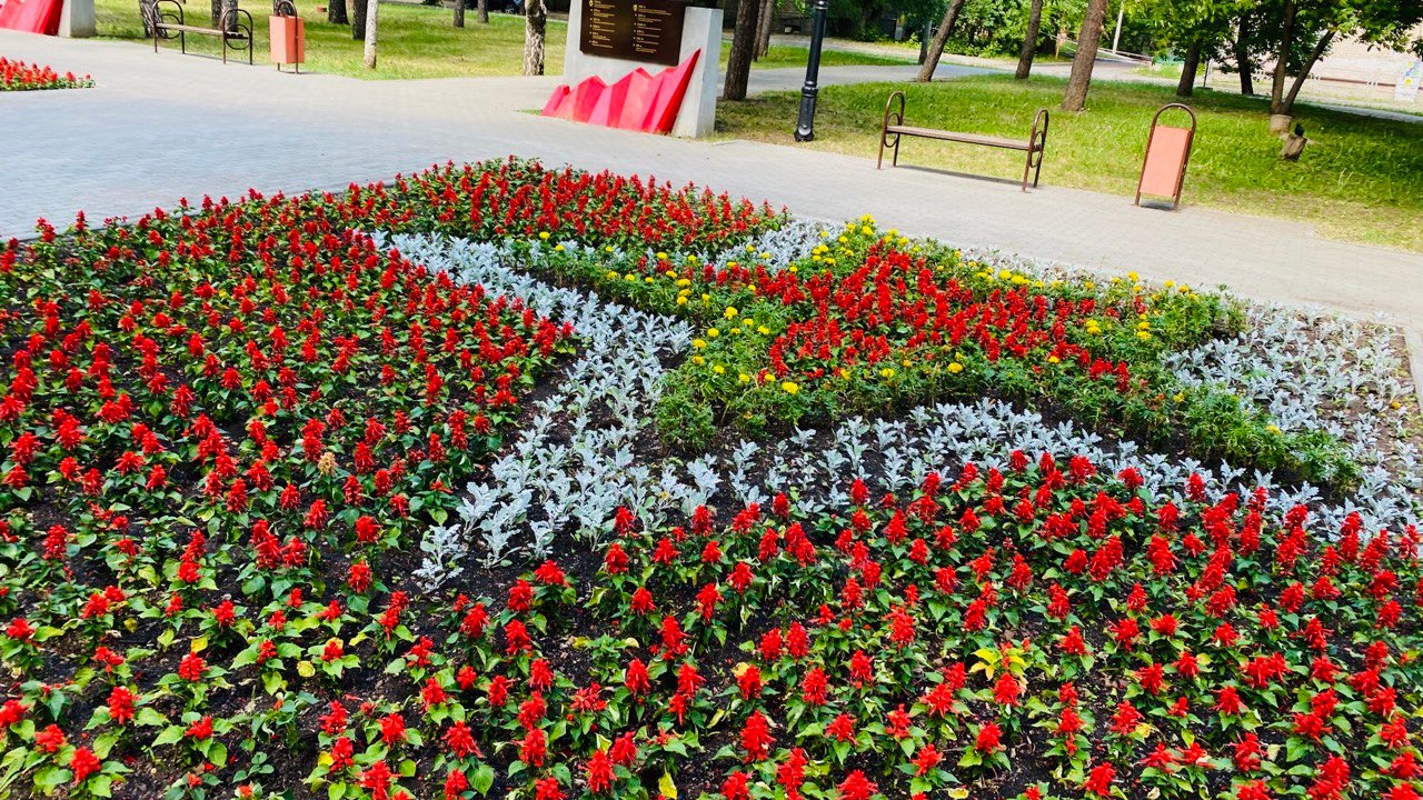 Почти 330 тысяч цветов высадили в центре Челябинска Почти 330 тысяч цветов высадили в центре Челябинска