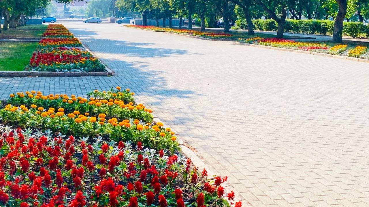 Почти 330 тысяч цветов высадили в центре Челябинска 