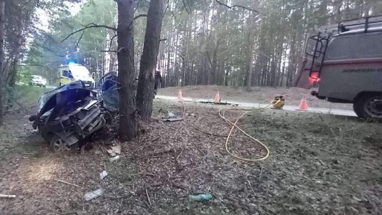 Легковой автомобиль врезался в дерево в Челябинской области, водитель погиб Легковой автомобиль врезался в дерево в Челябинской области, водитель погиб