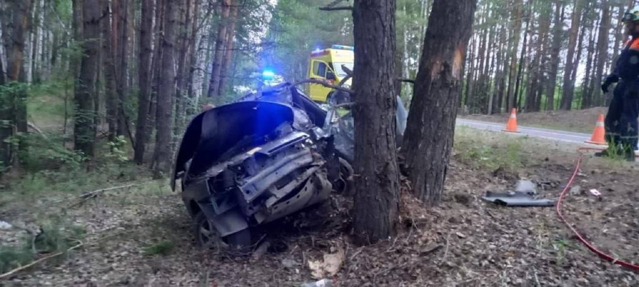 Легковой автомобиль врезался в дерево в Челябинской области, водитель погиб Легковой автомобиль врезался в дерево в Челябинской области, водитель погиб
