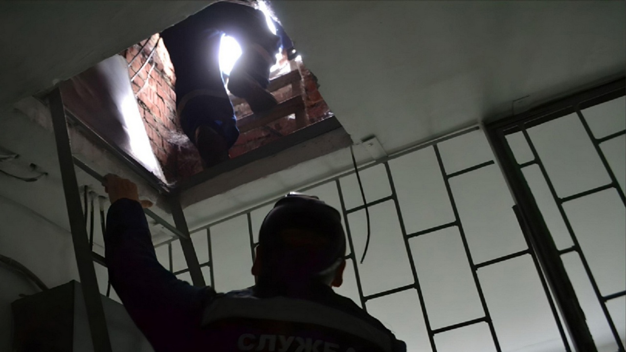 Две вороны переполошили жильцов жилого дома в Челябинске