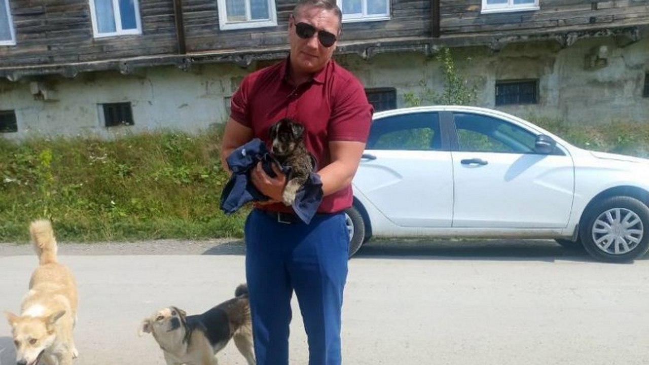 В Челябинской области полицейские вытащили из лужи с гудроном щенка