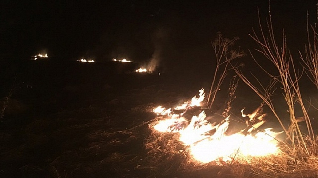 Пожар вспыхнул возле трассы в Челябинской области