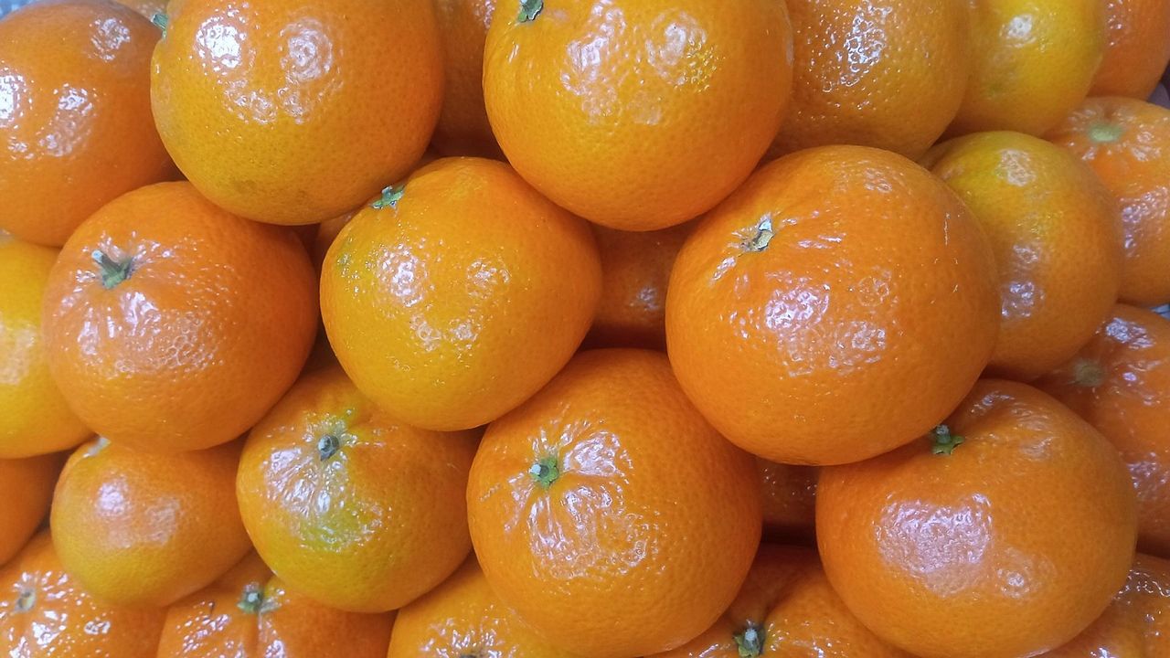 Челябинские ученые выяснили, что апельсины могут помочь в борьбе с деменцией