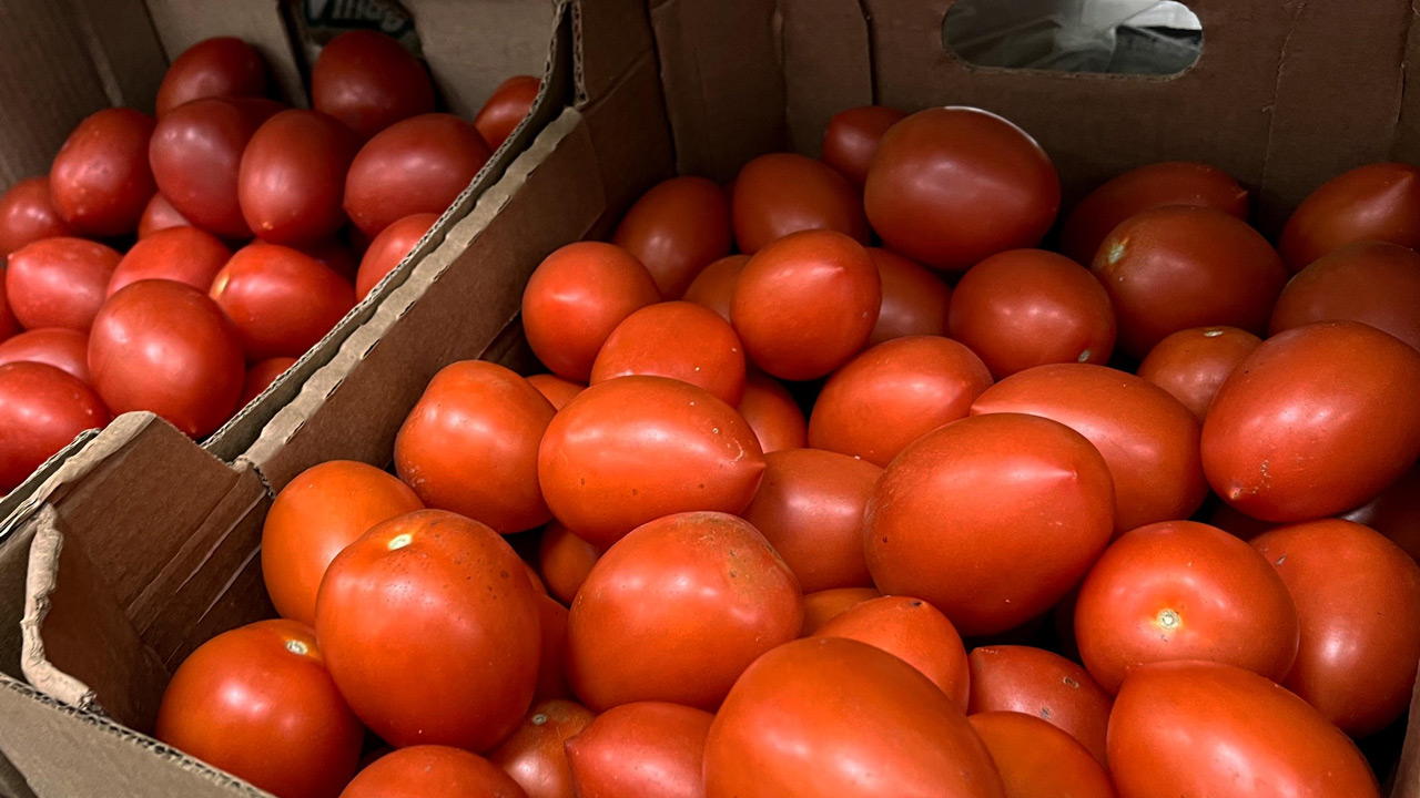 Почти 600 тонн зараженных фруктов и овощей обнаружили в Челябинской области