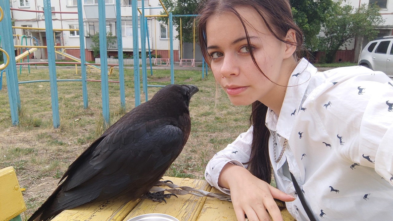 Хозяйка черного ворона из Челябинска рассказала о жизни с хищной птицей