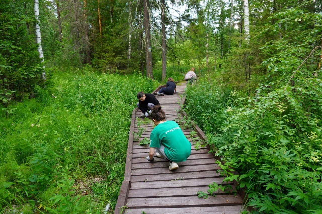 Волонтеры обустроили туристическую тропу в национальном парке в Челябинской области