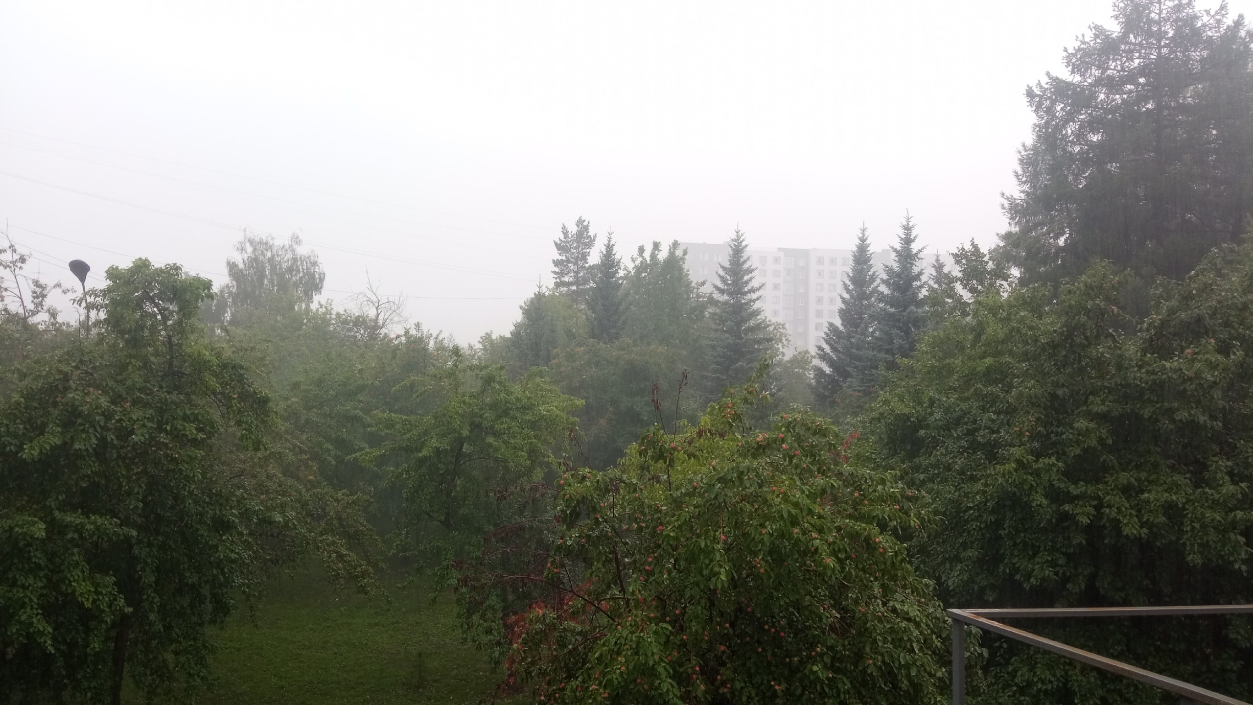 О тумане и порывах ветра в Челябинской области предупредили синоптики