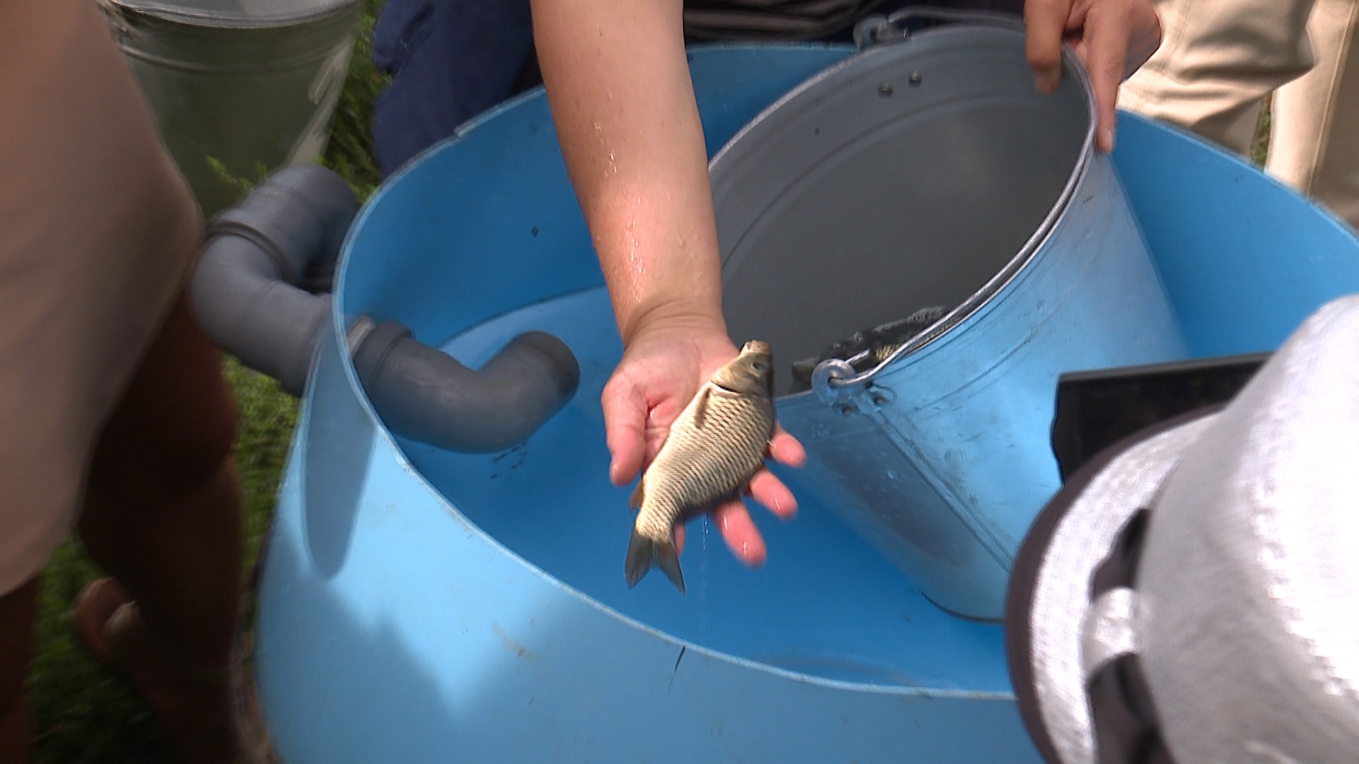 Живую рыбу в огромных "термосах" доставили в Шершневское водохранилище