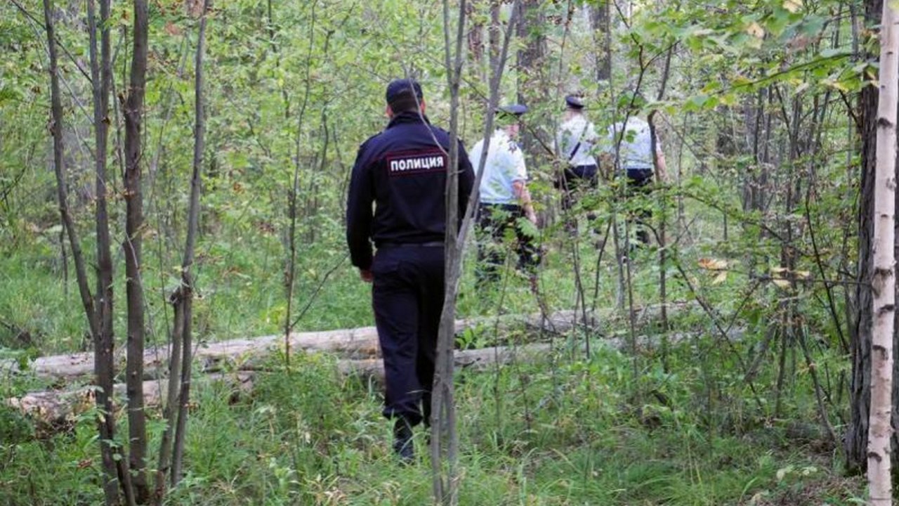 Трех заблудившихся в лесу женщин нашли в Челябинской области