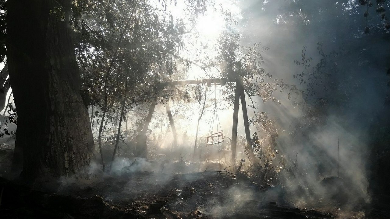 10 человек погибли в июле на пожарах в Челябинской области