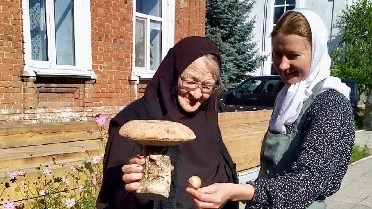 Грибной урожай обнаружили в монашеском скиту в Челябинской области