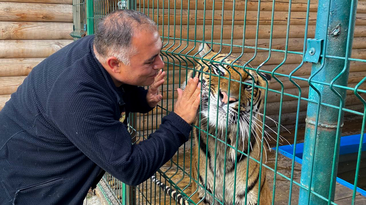Спасают диких животных 25 лет: фонд зоозащиты в Челябинске отмечает юбилей