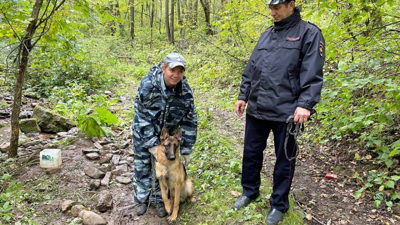 В Челябинской области спасли привязанную в лесу собаку