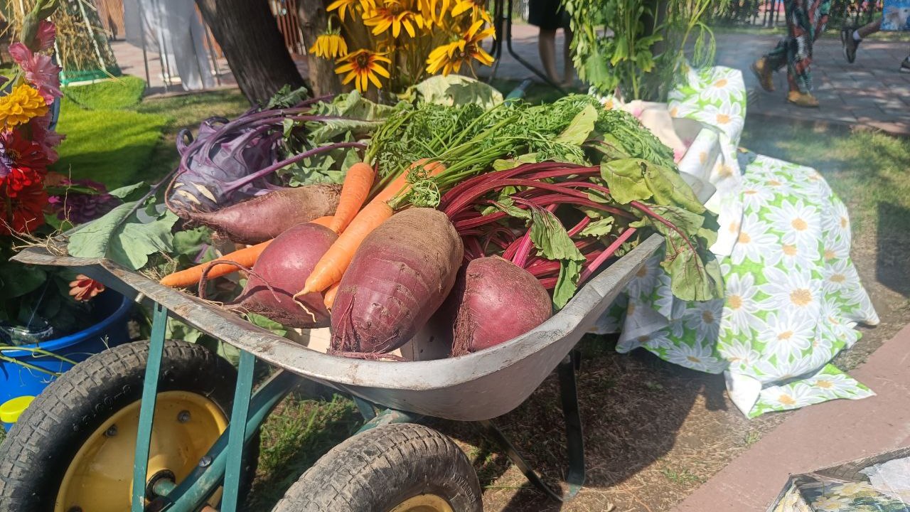 Жители Челябинска показали, что можно вырастить в саду и огороде