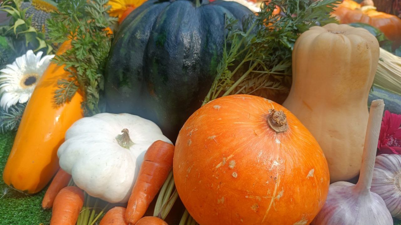 Жители Челябинска показали, что можно вырастить в саду и огороде