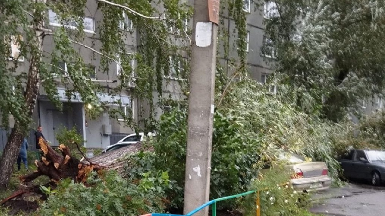 Сильный ветер в Челябинске повалил деревья на автомобили