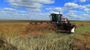 Губернатор Челябинской области поручил региональному минсельхозу помочь аграриям