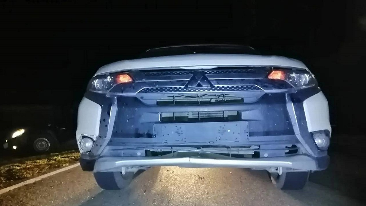 Автомобили дважды наехали на корову на трассе под Магнитогорском Автомобили дважды наехали на корову на трассе под Магнитогорском