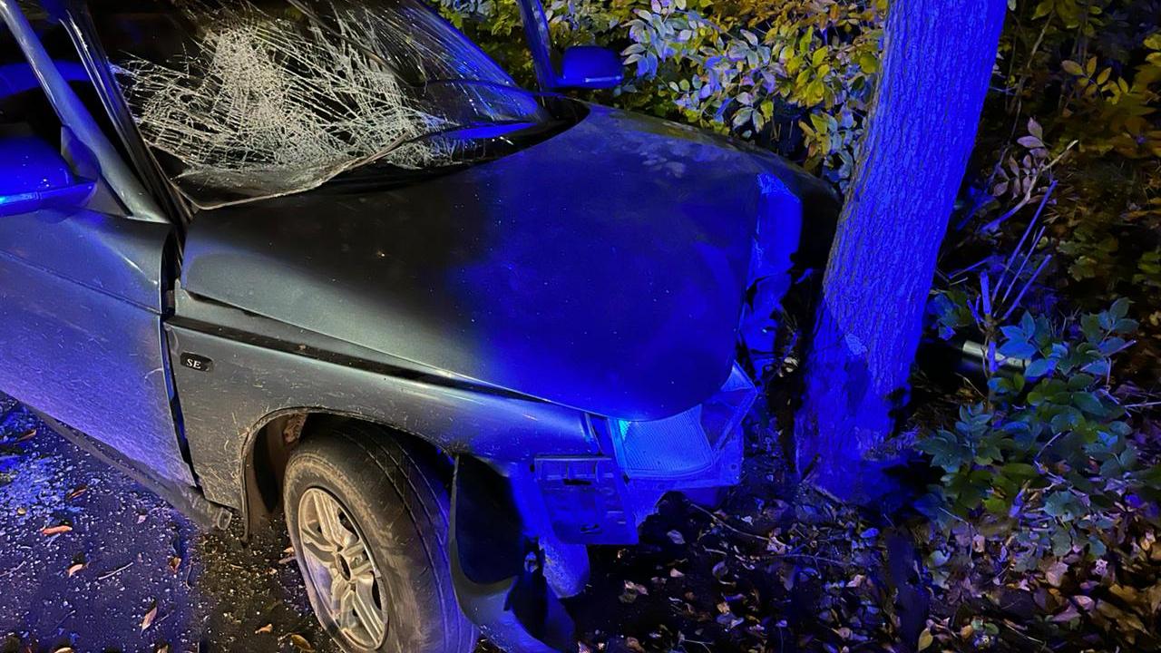 Пьяный водитель врезался в столб в Челябинской области: погиб 19-летний пассажир