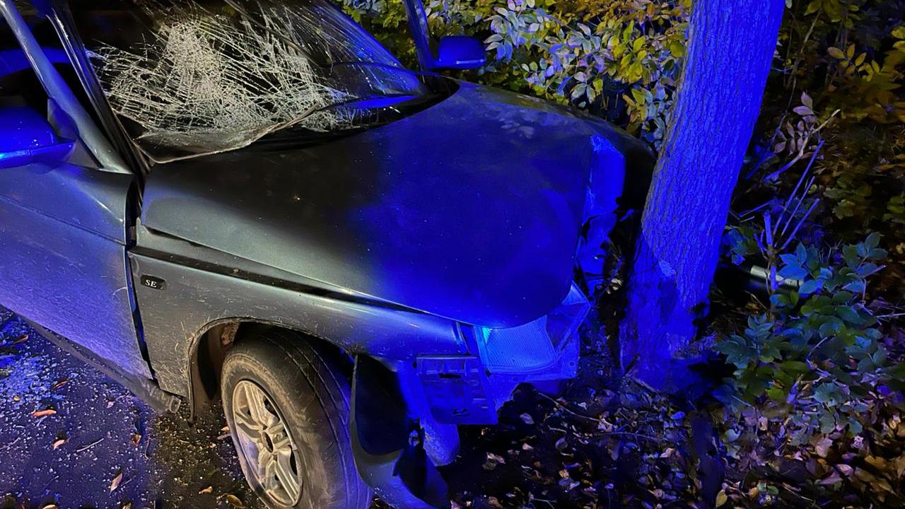 Пьяный водитель врезался в столб в Челябинской области: погиб 19-летний пассажир Пьяный водитель врезался в столб в Челябинской области: погиб 19-летний пассажир