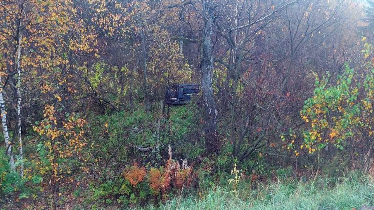 В Челябинской области автомобиль сбил лося и улетел в кювет: водитель погиб