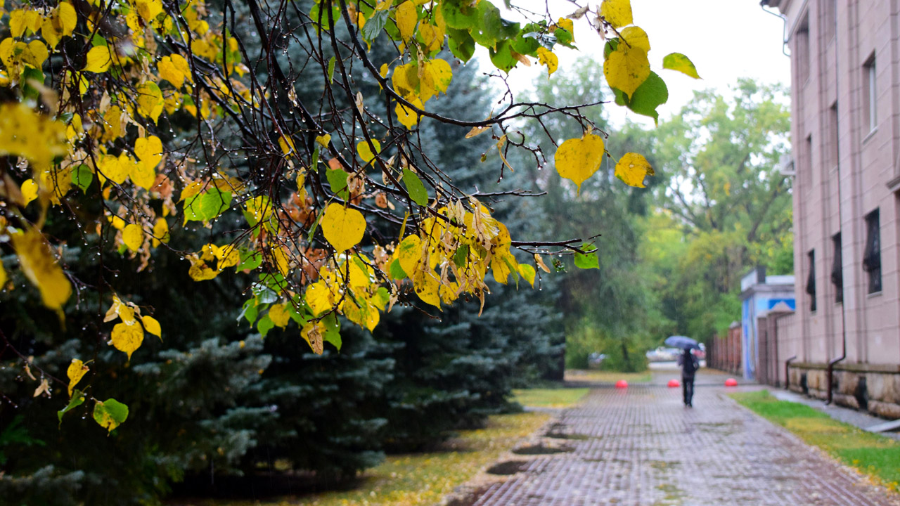 Дождливый и теплый сентябрь прогнозируют в Челябинской области