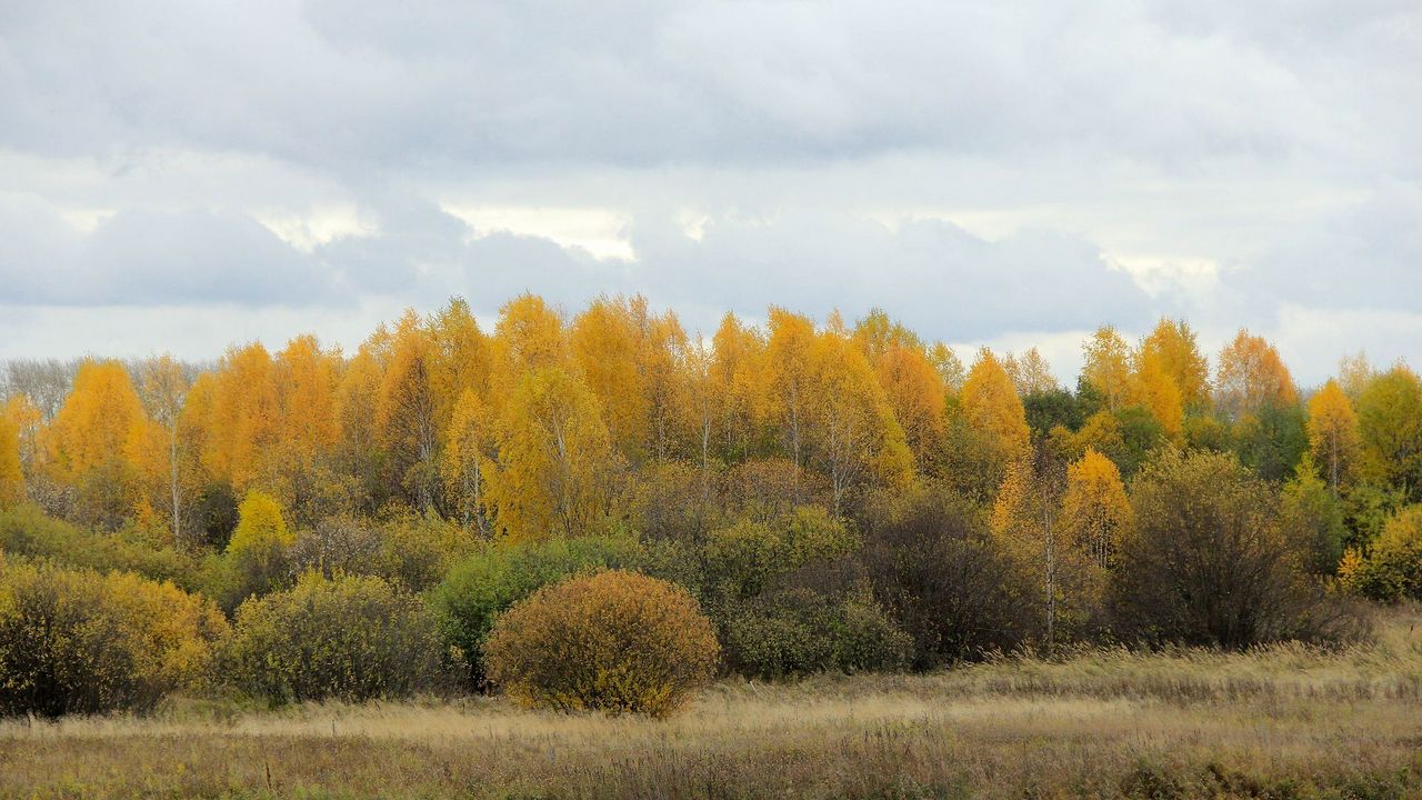 Перепады температур и дожди ожидаются в Челябинской области