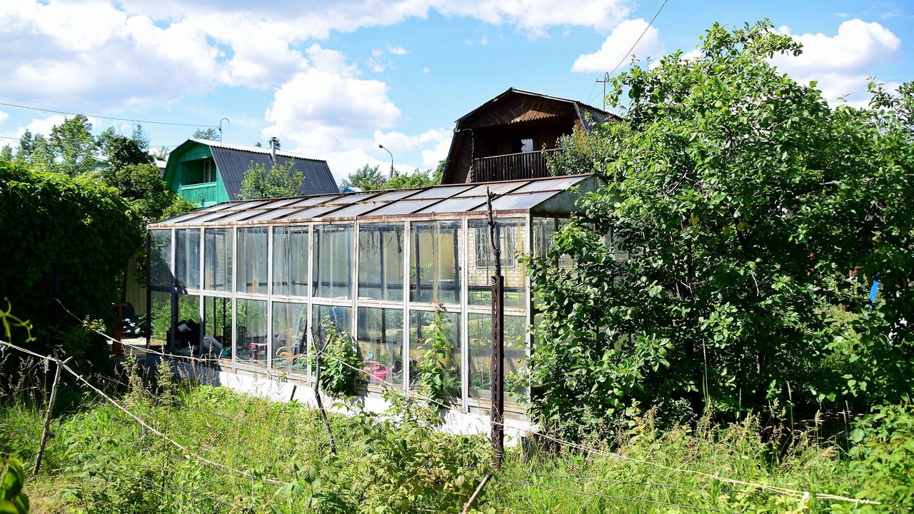 В Челябинской области начнут борьбу с заброшенными садовыми участками