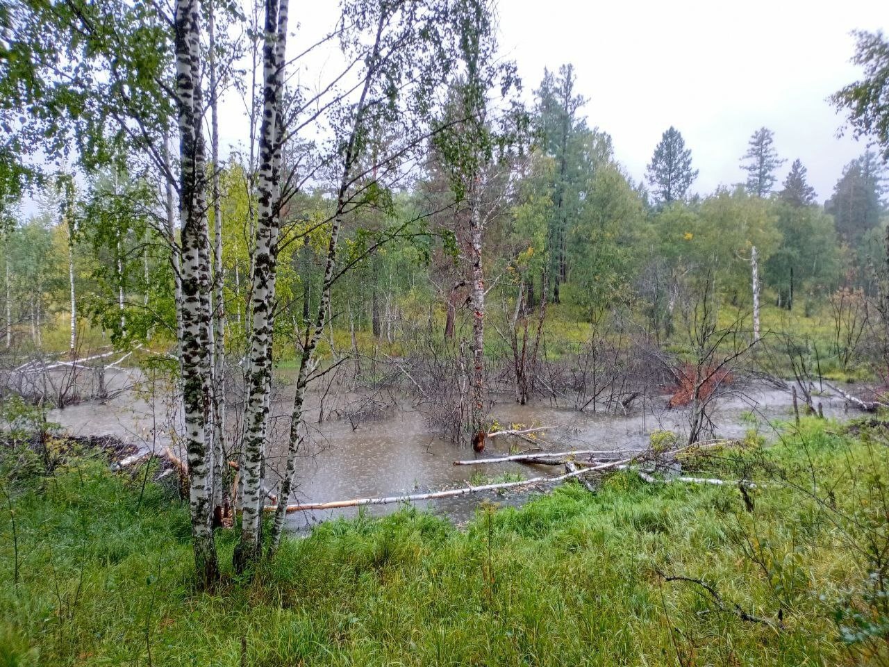 В нацпарке Зигальга из-за сильных дождей случилось наводнение  