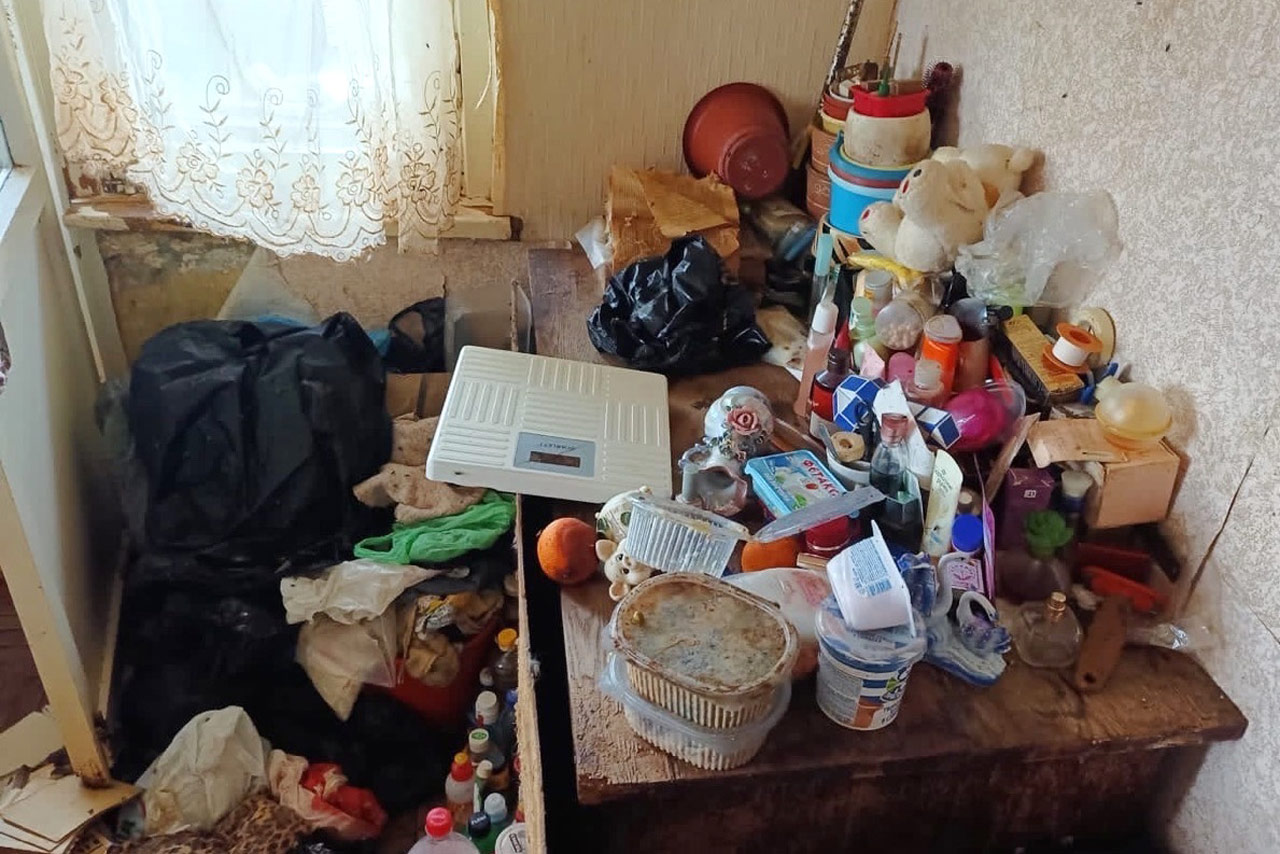 Из зловонной квартиры в Челябинске забрали около 40 кошек
