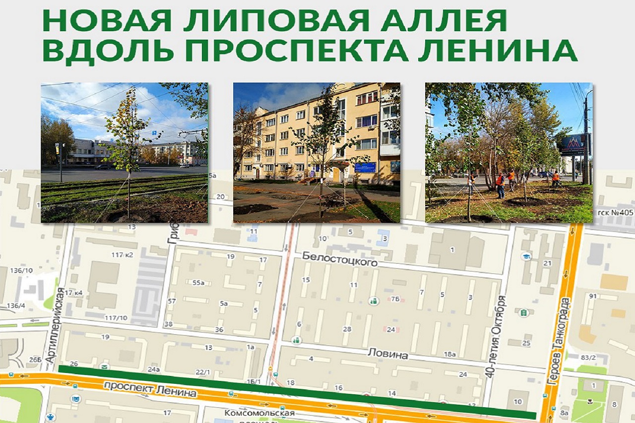 Новая липовая аллея появится на проспекте Ленина в Челябинске Новая липовая аллея появится на проспекте Ленина в Челябинске