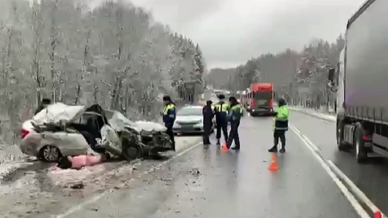 Женщина погибла в ДТП с фурой на трассе М5 в Челябинской области