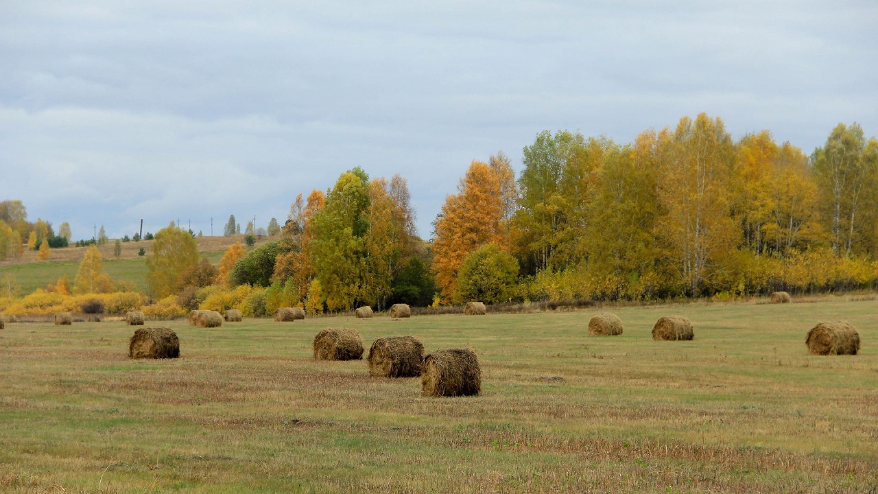 Гидрометцентр предупредил жителей Челябинска о резком похолодании 