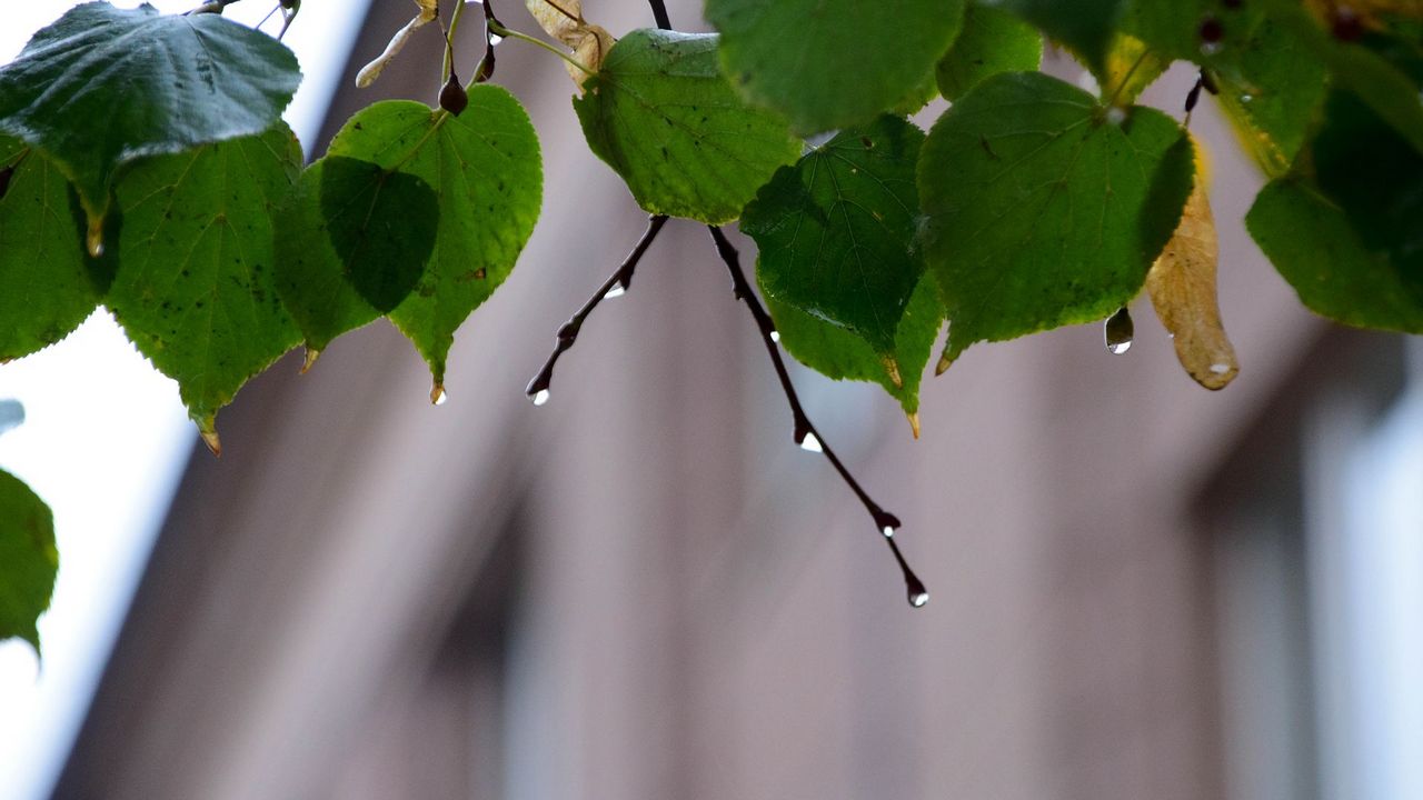 Заморозки до -3 °C и порывистый ветер ожидаются в Челябинской области Заморозки до -3 °C и порывистый ветер ожидаются в Челябинской области