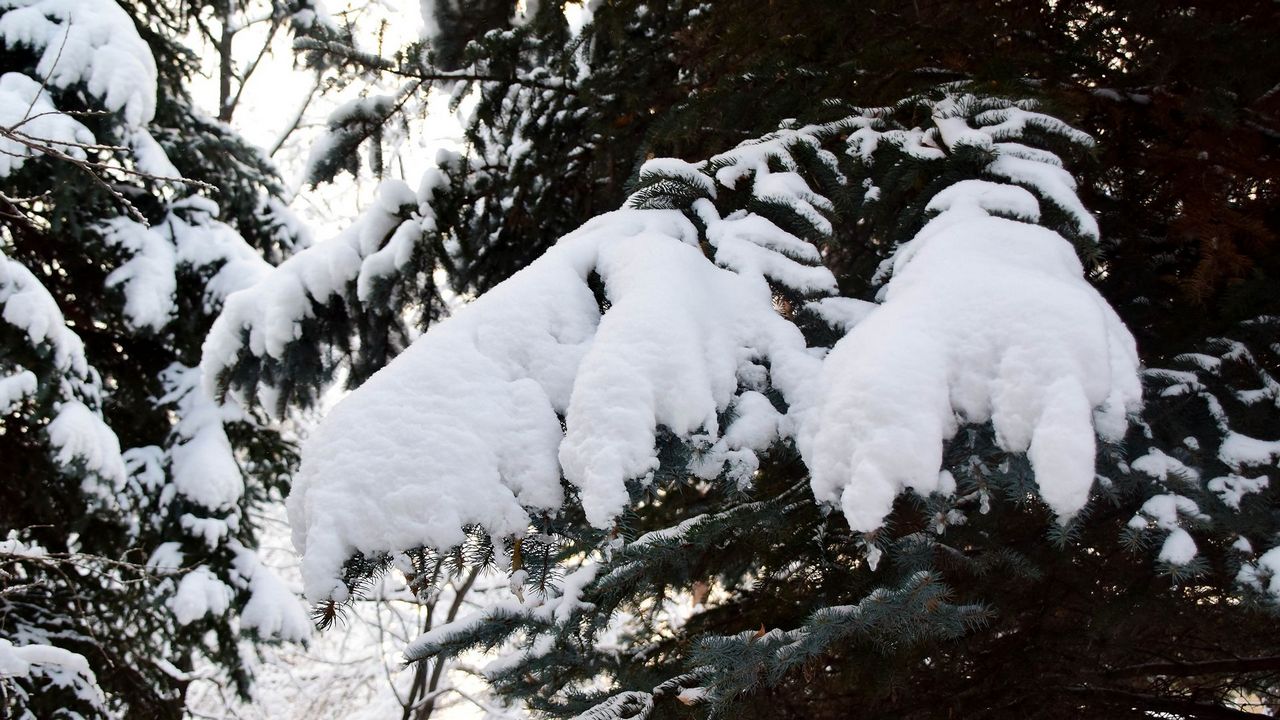 Снег, гололед и порывистый ветер ожидаются в Челябинской области