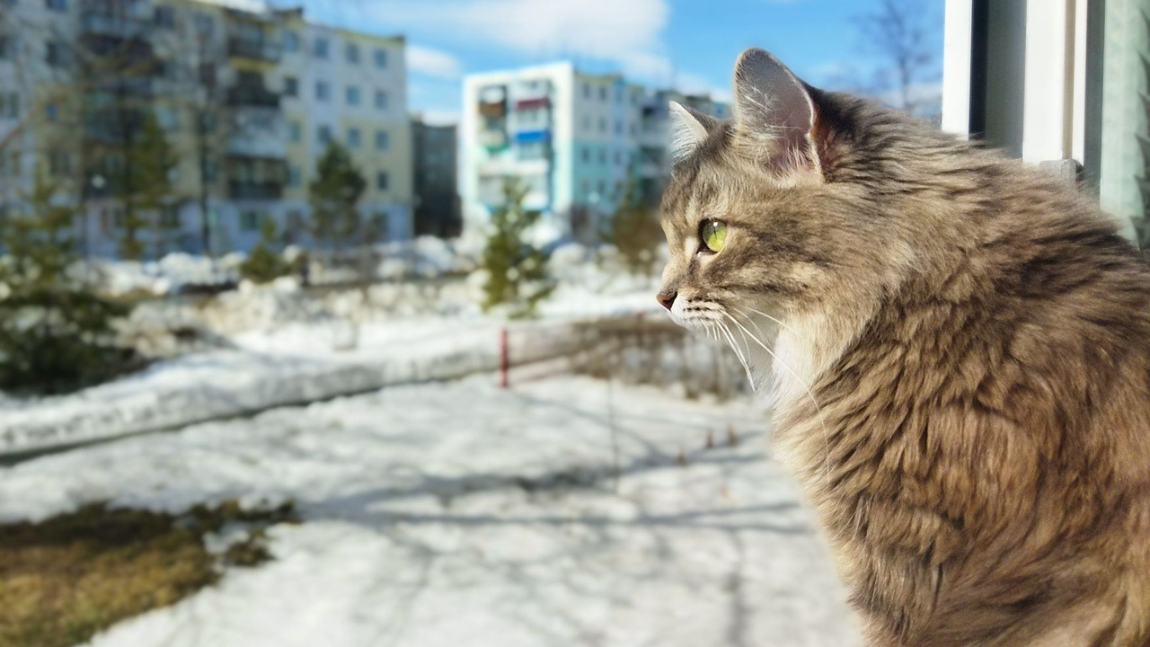 Потепление до 7°C прогнозируют синоптики в Челябинске