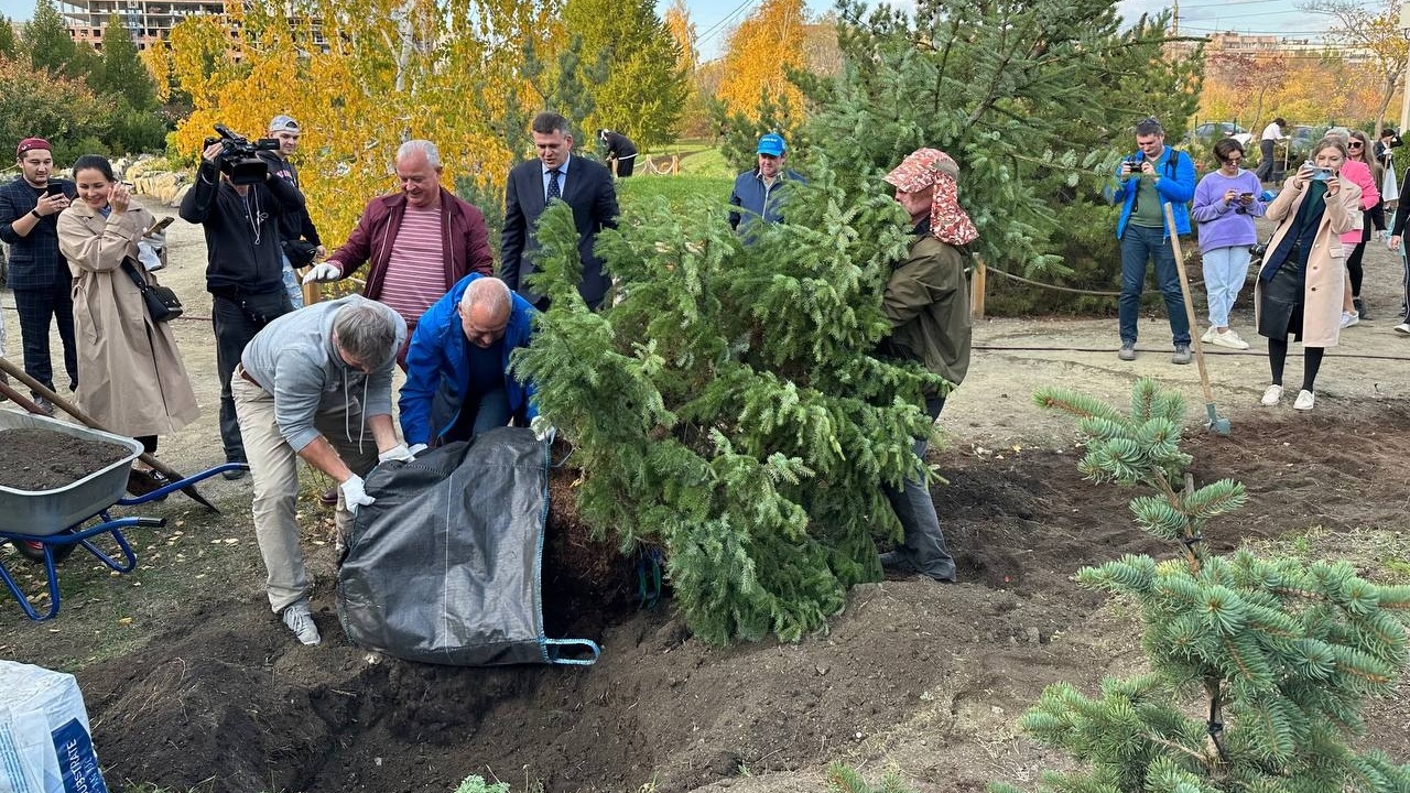 Кедры, ели и пихты высадили в ботаническом саду на северо-западе Челябинска 