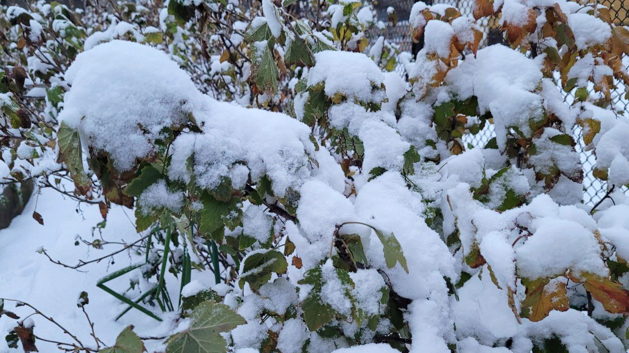 Жителям Челябинской области рассказали, сколько продлится снегопад