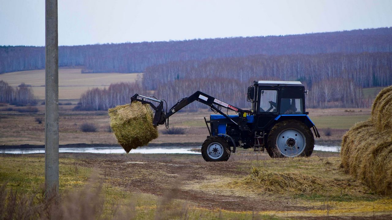 Итоги сбора урожая подводят в Челябинской области