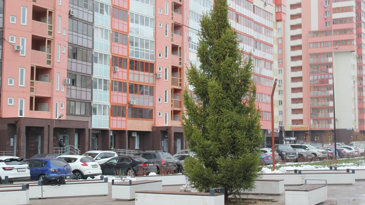 В челябинском сквере высадили 7-метровую новогоднюю ель