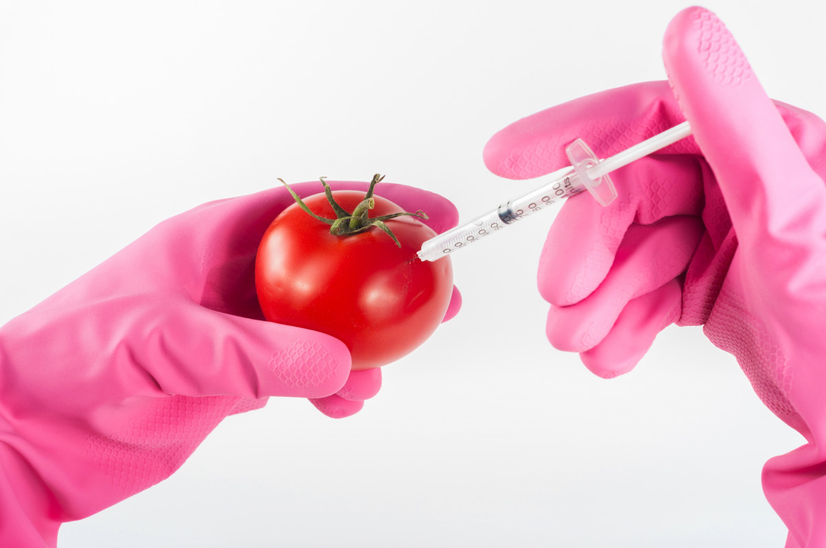 Россияне рассказали, что пугает их в ГМО-продуктах 