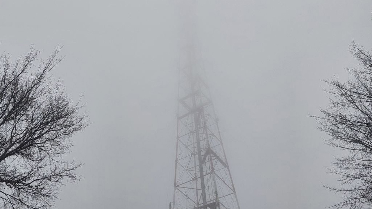 Жителей Челябинской области предупредили о густом тумане