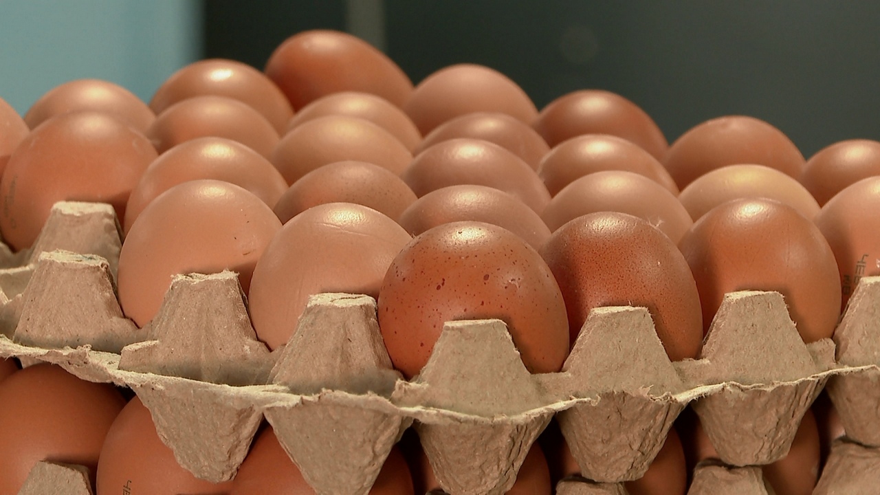 Ростом цен на яйца в Челябинской области заинтересовалась антимонопольная служба